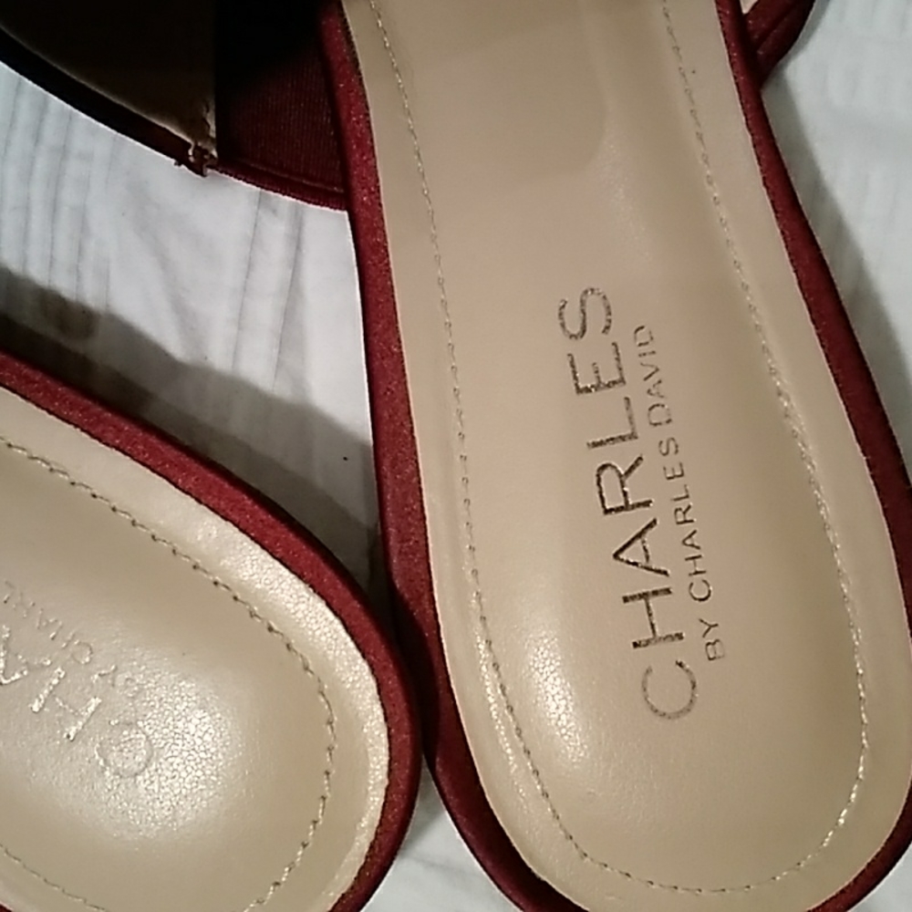 Charles David Slides/Mules - image 3